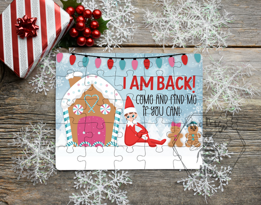 Find Me If You Can Puzzle